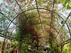 -The Grounds of Alexandria