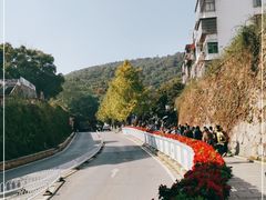 -岳麓山风景名胜区