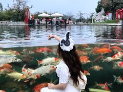 -南京银杏湖乐园