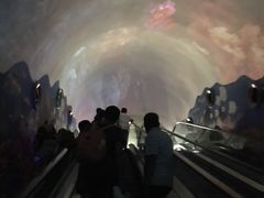 -成都浩海立方海洋公园