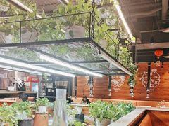 -猫爪爪原切自助烤肉(观音桥阳光世纪店)