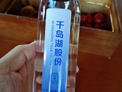 -千岛湖城中湖游船码头