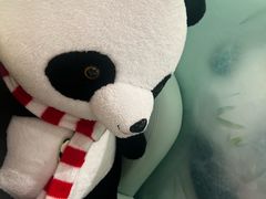 -眉州东坡·熊猫主题餐厅(枫蓝店)