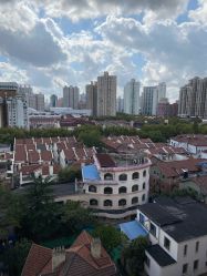 -海豚湾高端月子会所(黄浦店)