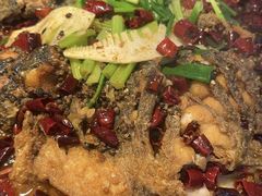 -老板恋上鱼(高新万达店)