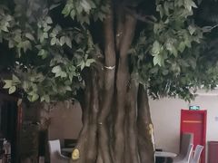 -艳阳天(明德北路店)