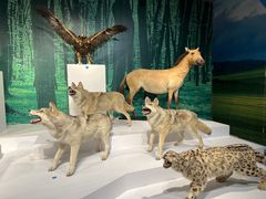 -中国湿地博物馆