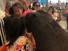 -尼莫海豚馆