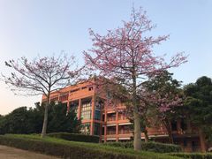 -华南理工大学(大学城校区)