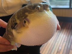 -永安鱼庄·镇江菜(丁卯店)