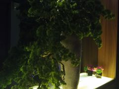 -大桶大足浴(周浦店)