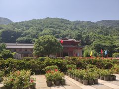 -木兰云雾山
