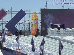 -沈阳奥体冰雪嘉年华