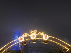 -武汉知音号