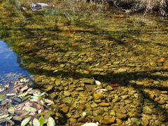 -洛阳白云山景区