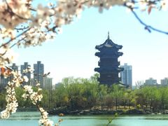 -迎泽公园