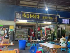 -杨合林啊兰烤鱼