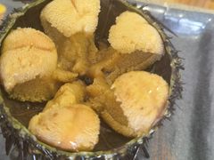 -海胆小馆(东北水饺·春柳店)