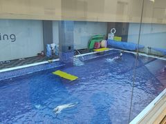 -酷游亲子游泳中心