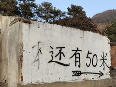 -树山生态村