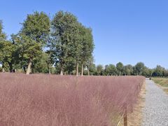 -汉长安城未央宫国家考古遗址公园