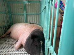 -小时光咖啡馆(开森度假森林店)