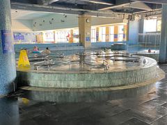 -晋爵会游泳馆(海湾公园店)