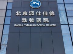 -北京派仕佳德动物医院·超导核磁·CT·神经科·骨科·内外科·急重症管理中心