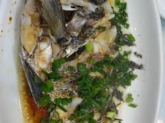 -金海湾海鲜排档(朱家尖店)