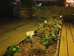 -The V泽惟·低温慢煮料理