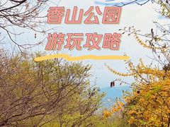 -香山公园