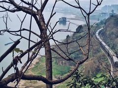 景点-大渡口区义渡公园