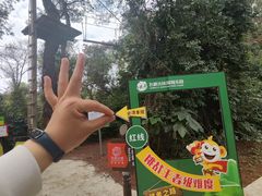 -芦仙山景区-飞越丛林探险乐园