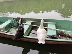 -团结湖公园