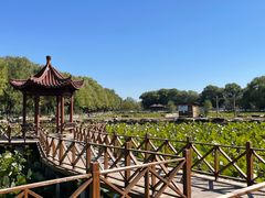 -稻香湖景欢乐岛温泉城堡
