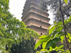 -西安博物院