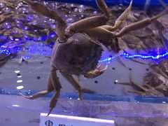 -澜悦港海鲜体验主题餐厅