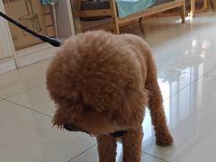 -宠颐生宠物医院·骨外科·犬猫全科诊疗中心(池州店)