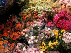 -循礼门鲜花花市(武汉循礼门店)