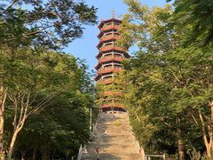 -红花山公园