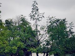 -花洲书院