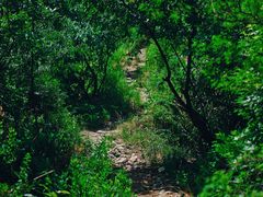 -阳台山自然风景区