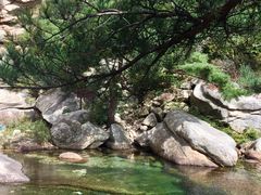 -无染寺