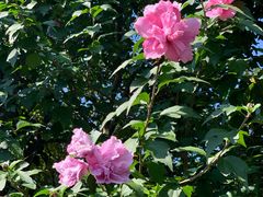 -九华山风景区月身宝殿