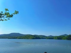 -佛手湖郊野公园