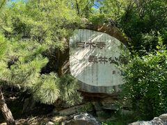 -白水寺森林公园