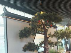 -绿茶餐厅(成都大悦城店)