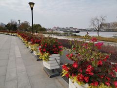 -上海山野camping·户外天幕烧烤·团建拓展营地