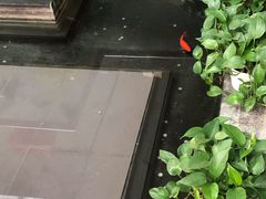 门面-旺顺阁鱼头泡饼(小红门店)