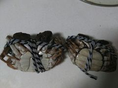 -喜洋洋蟹庄(阳澄湖店)